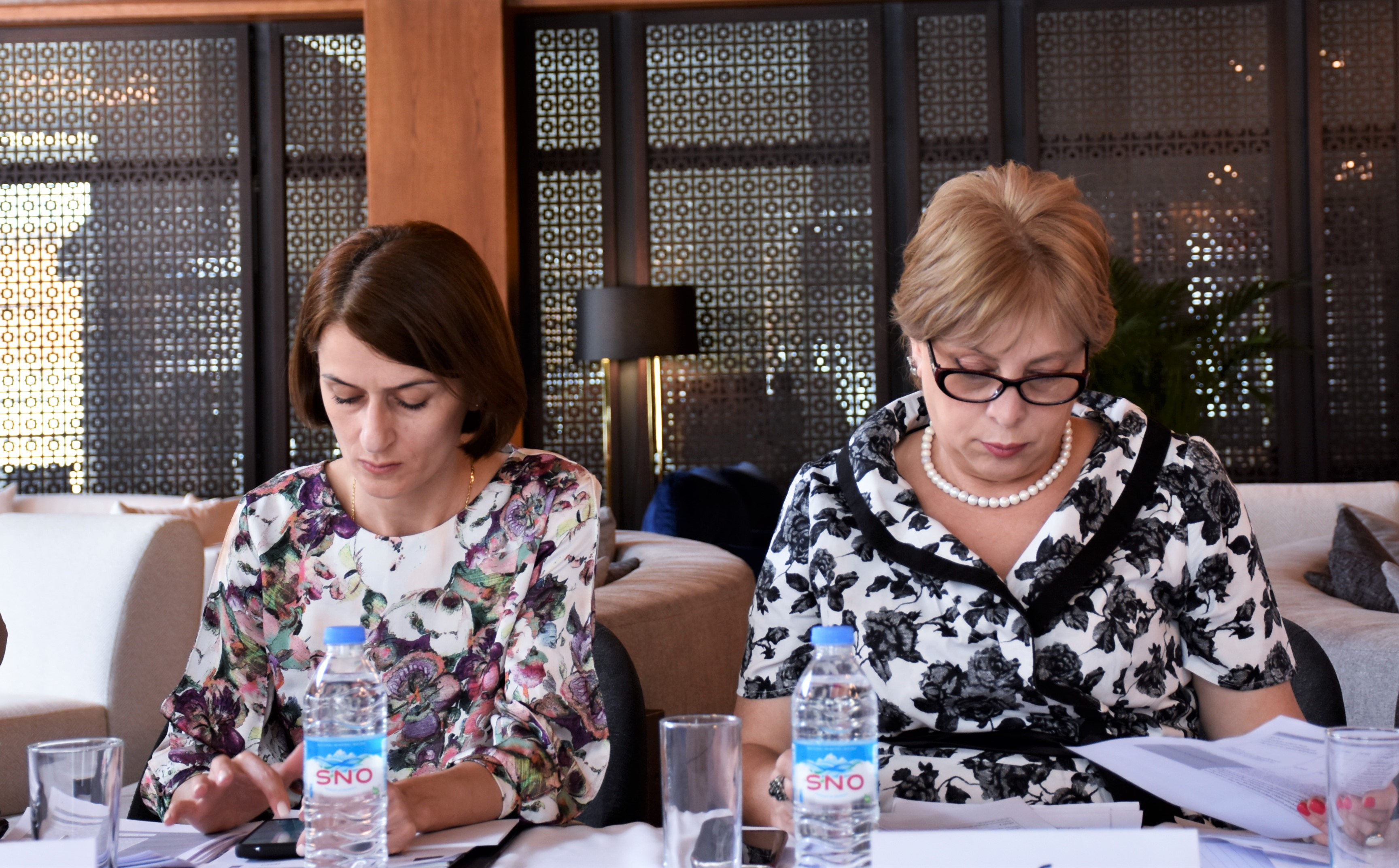 უმაღლესი საბჭოს ღია მმართველობის საბჭოსა და საკონსულტაციო ჯგუფის  სამუშაო შეხვედრა 