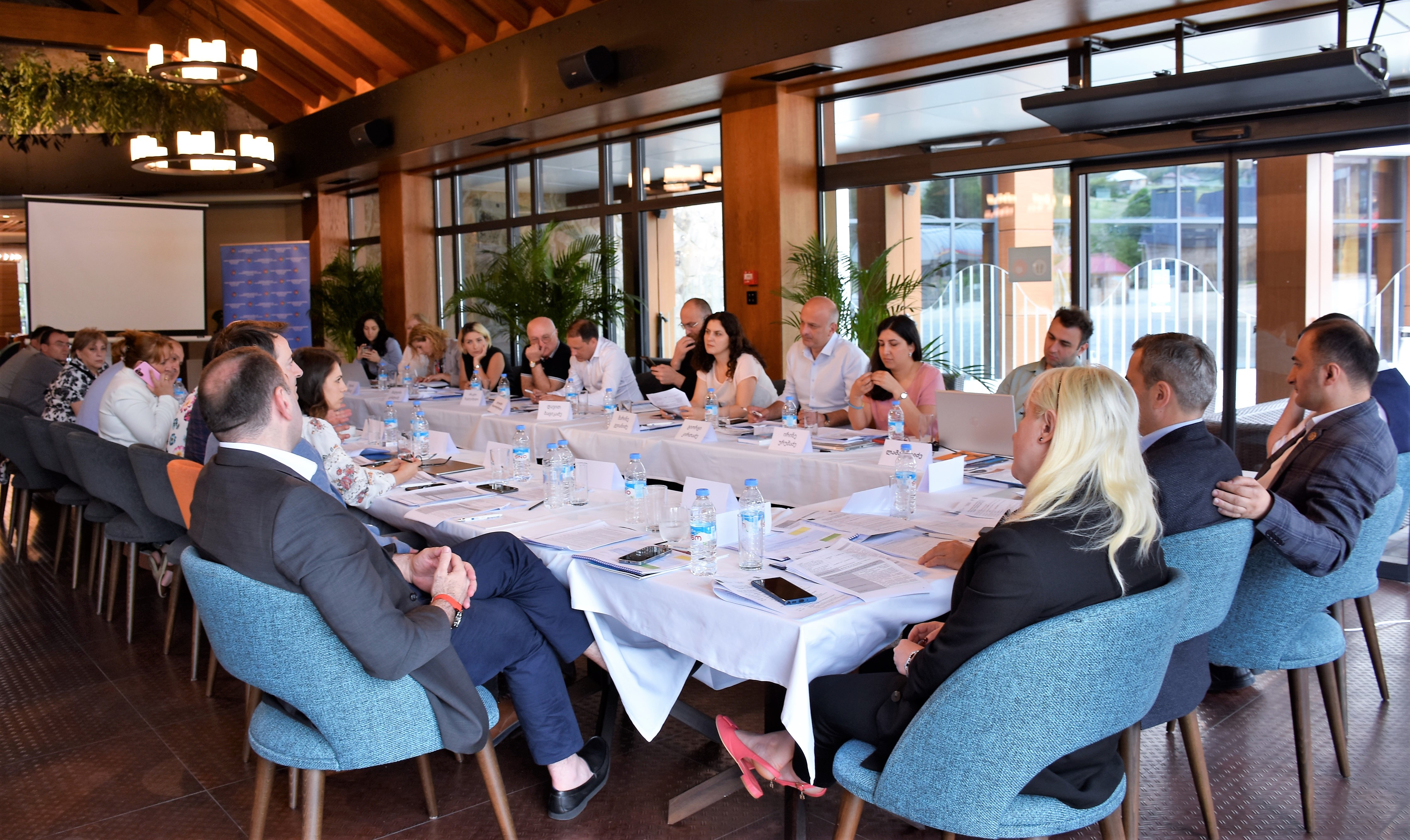 უმაღლესი საბჭოს ღია მმართველობის საბჭოსა და საკონსულტაციო ჯგუფის  სამუშაო შეხვედრა 