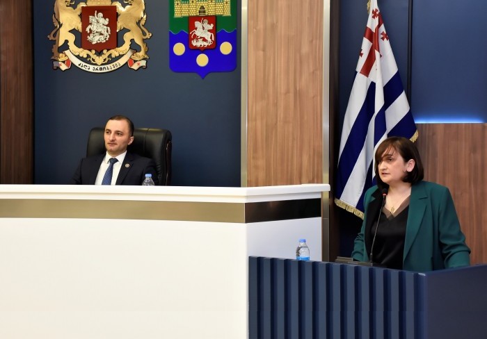 უმაღლესი საბჭოს პლენარულ სხდომაზე, „მინისტრის საათის“ ფორმატში მაია ხაჯიშვილს მოუსმინეს