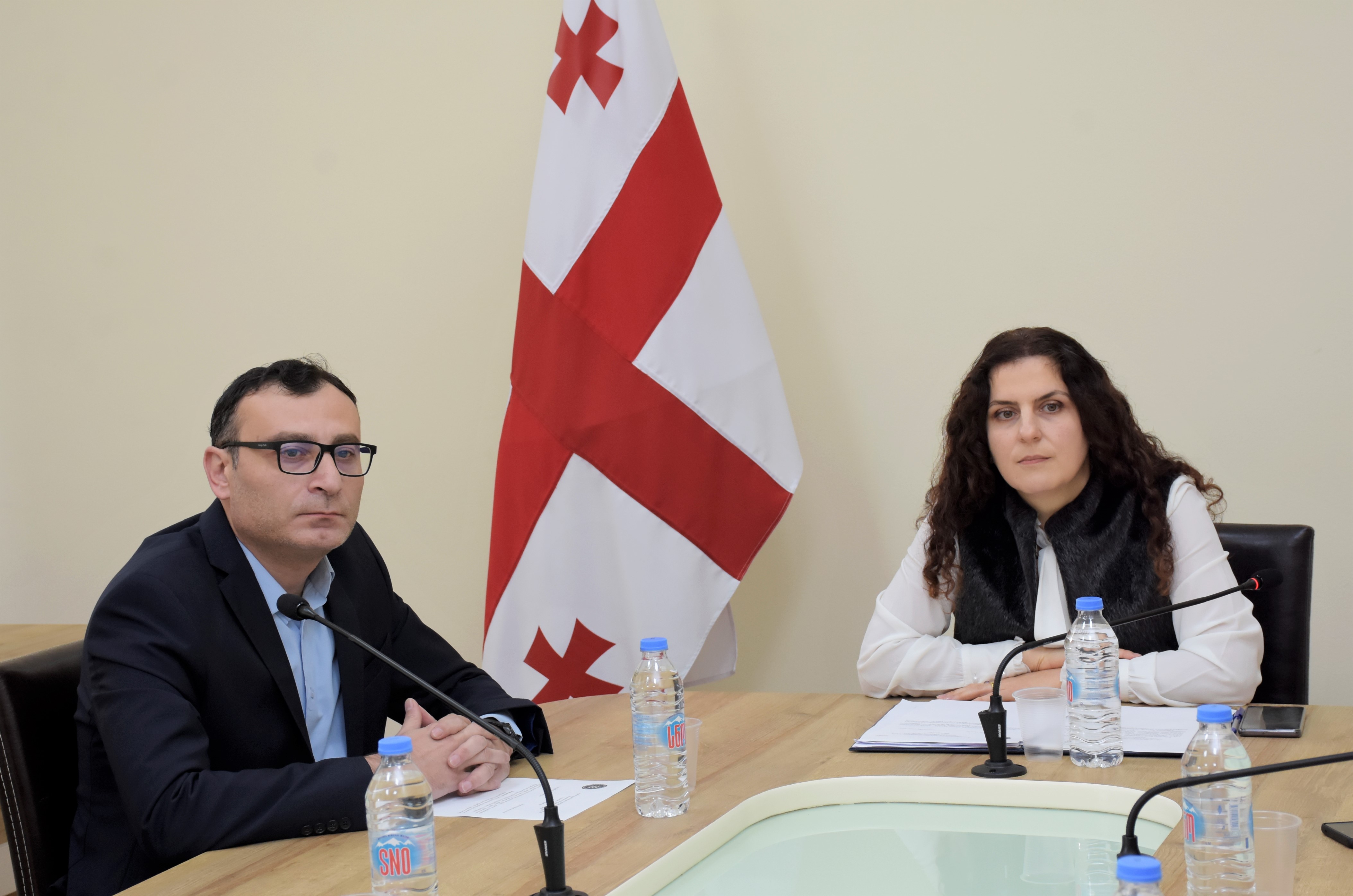  საფინანსო-საბიუჯეტო და ეკონომიკურ საკითხთა კომიტეტის სხდომა