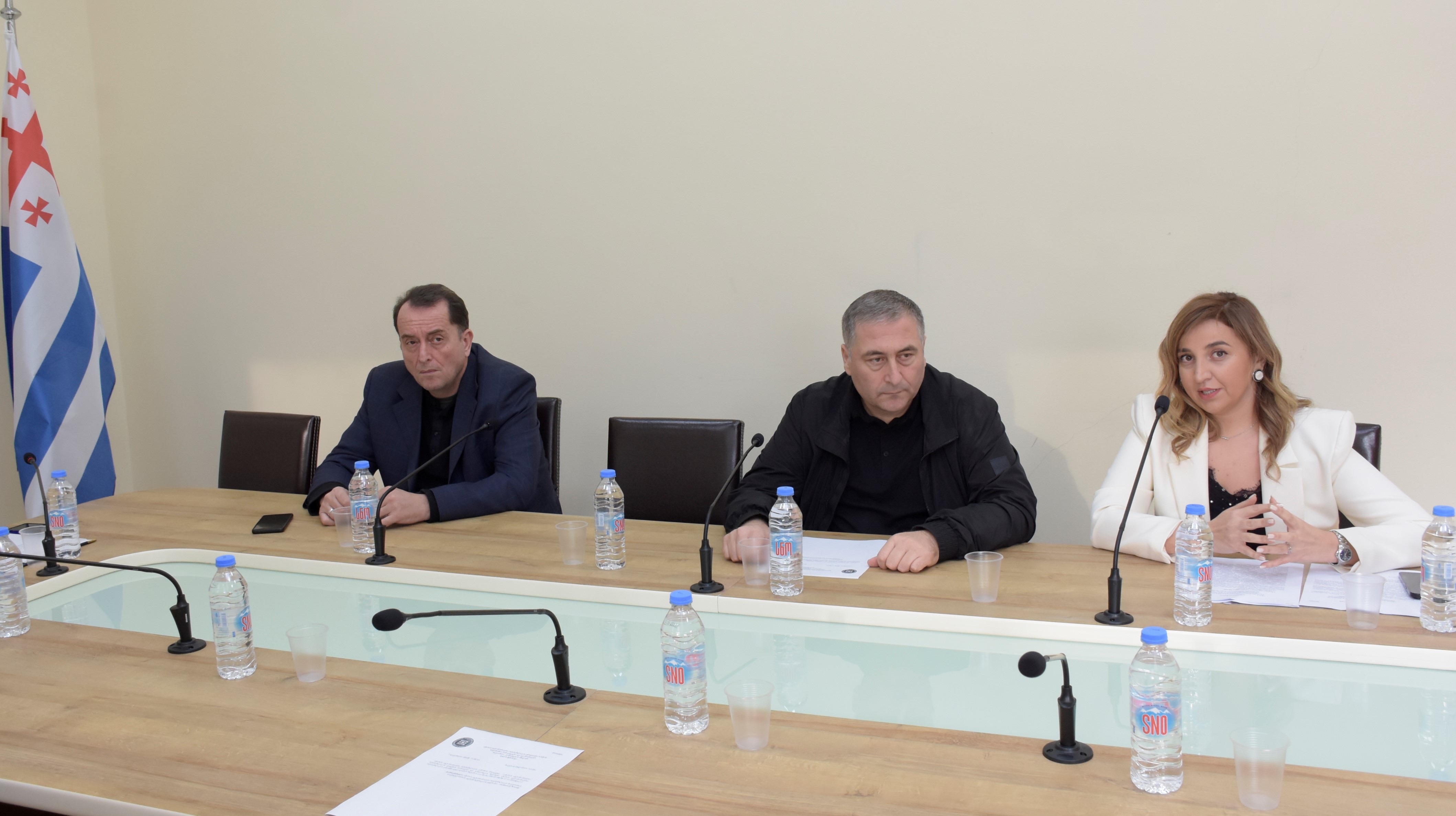  საფინანსო-საბიუჯეტო და ეკონომიკურ საკითხთა კომიტეტის სხდომა