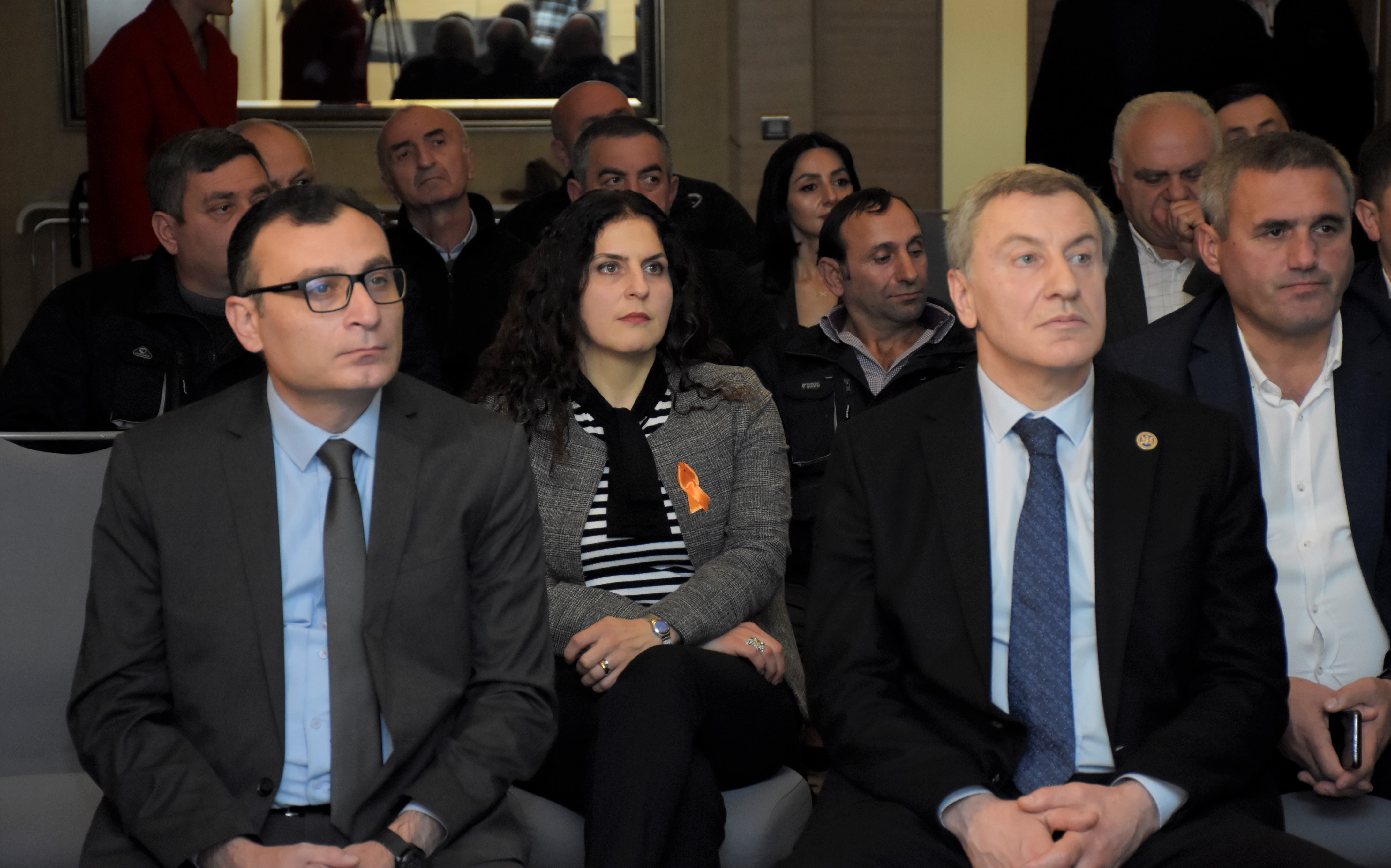 უმაღლესი საბჭოს წევრებმა რეგიონის მეგზევეებს პროფესიული დღე მიულოცეს