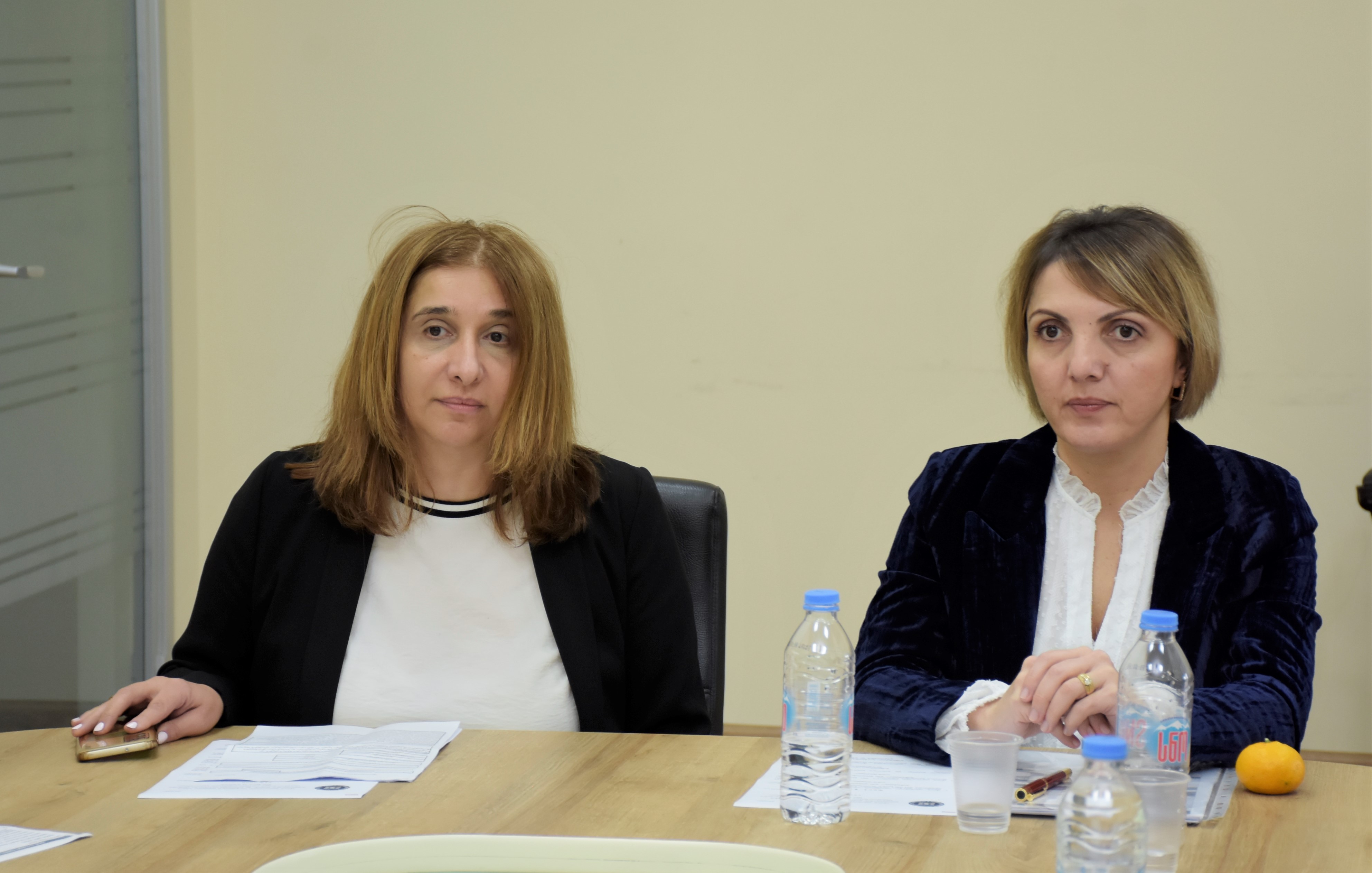 უმაღლესი საბჭოს ჯანმრთელობის დაცვისა და სოციალურ საკითხთა და ადამიანის უფლებათა დაცვის საკითხთა კომიტეტების გაერთიანებული სხდომა