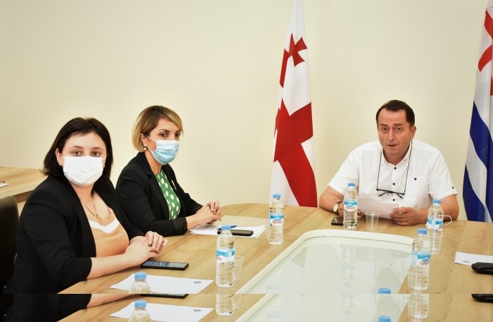 კომიტეტში მინისტრს მოუსმინეს