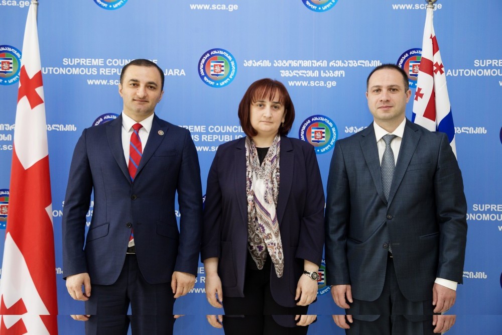 დავით გაბაიძემ გივი მიქანაძეს უმასპინძლა