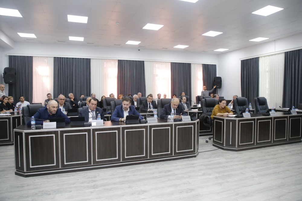 რიგგარეშე პლენარული სხდომა