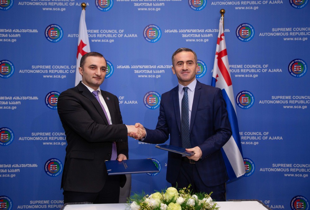 „საარქივო დოკუმენტები სტამბოლის ქართული სავანიდან“