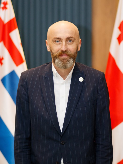 ბაციკაძე დავით