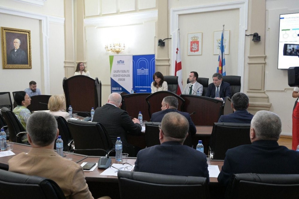       ფრიდონ ფუტკარაძე პარლამენტის დარგობრივი კომიტეტების გასვლით სხდომას დაესწრო