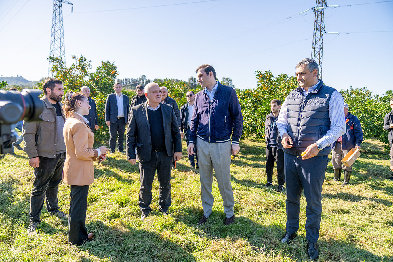 ქობულეთში ციტრუსის რეალიზაციის ხელშეწყობის საკოორდინაციო შტაბი ამოქმედდა