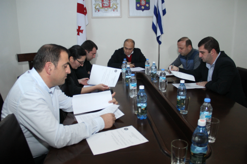 კომისიის თავმჯდომარის მოადგილე 5 ხმით აირჩიეს