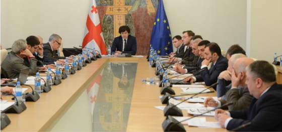 სახელმწიფო საკონსტიტუციო კომისიის სამუშაო ჯგუფის სხდომა