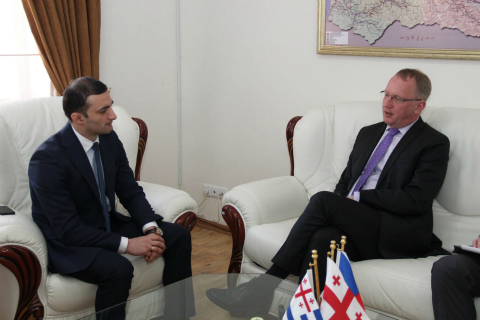 დავით გაბაიძე ჩეხეთის ელჩს შეხვდა