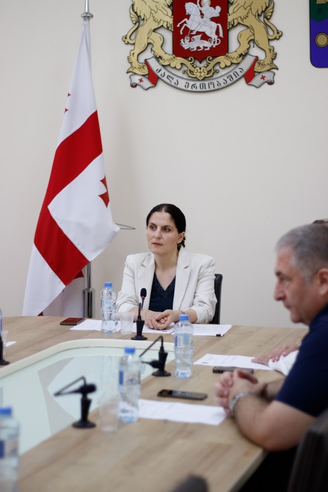 საფინანსო-საბიუჯეტო და ეკონომიკურ საკითხთა კომიტეტის სხდომა