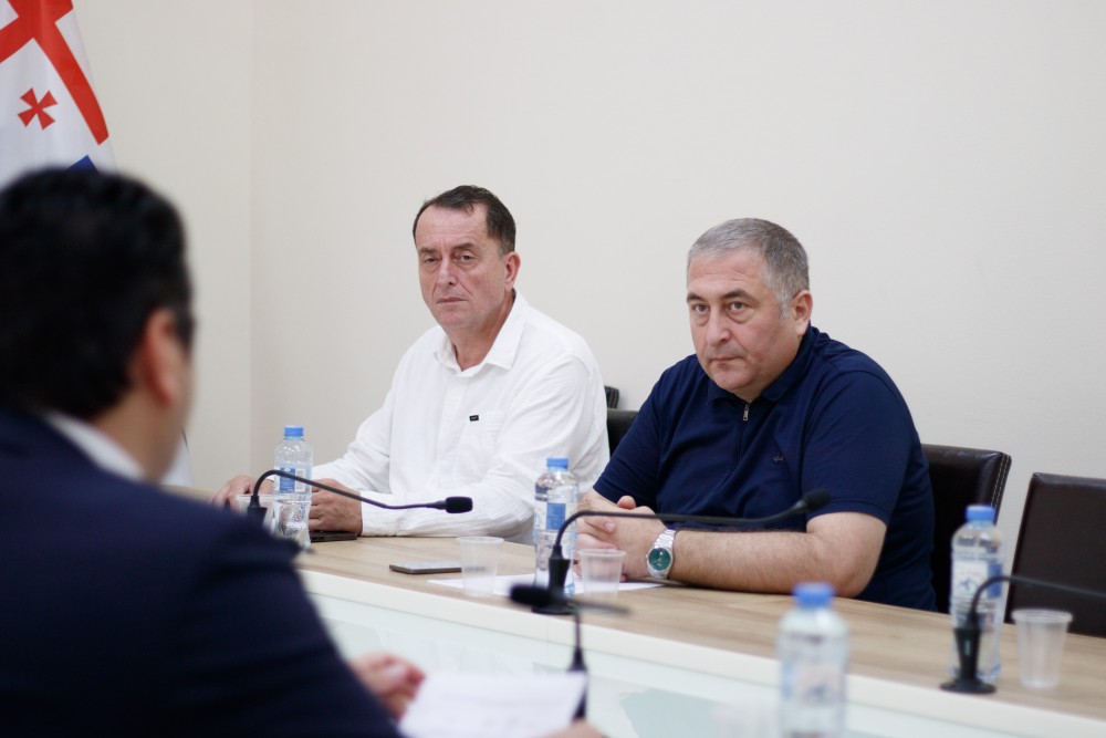 საფინანსო-საბიუჯეტო და ეკონომიკურ საკითხთა კომიტეტის სხდომა