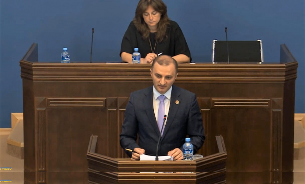 დავით გაბაიძემ,  საქართველოს პარლამენტის გარემოს დაცვისა და ბუნებრივი რესურსების კომიტეტის სხდომაზე, უმაღლესი საბჭოს მორიგი საკანონმდებლო ინიციატივა წარადგინა