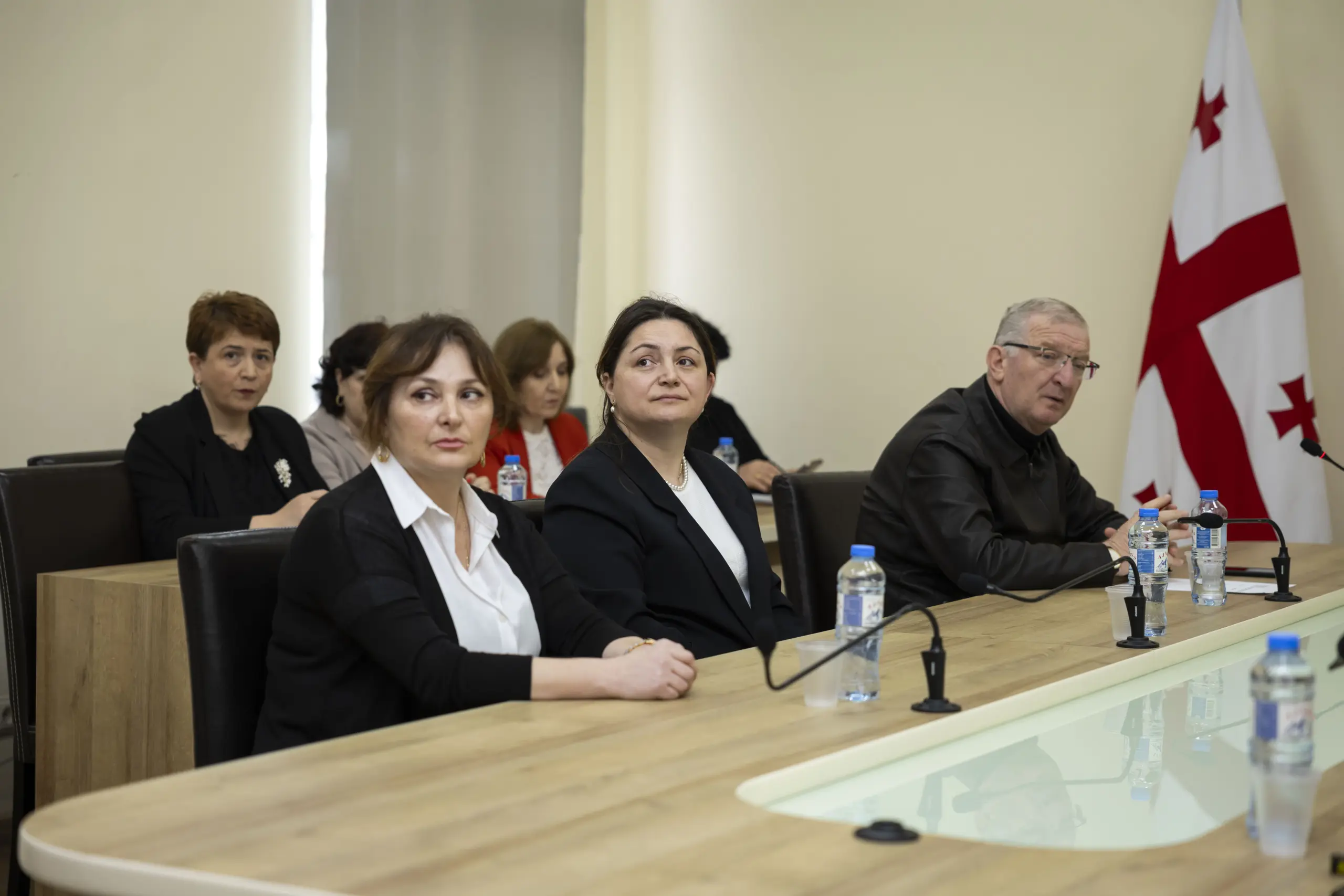 განათლების, მეცნიერების, კულტურისა და სპორტის კომიტეტის სხდომა