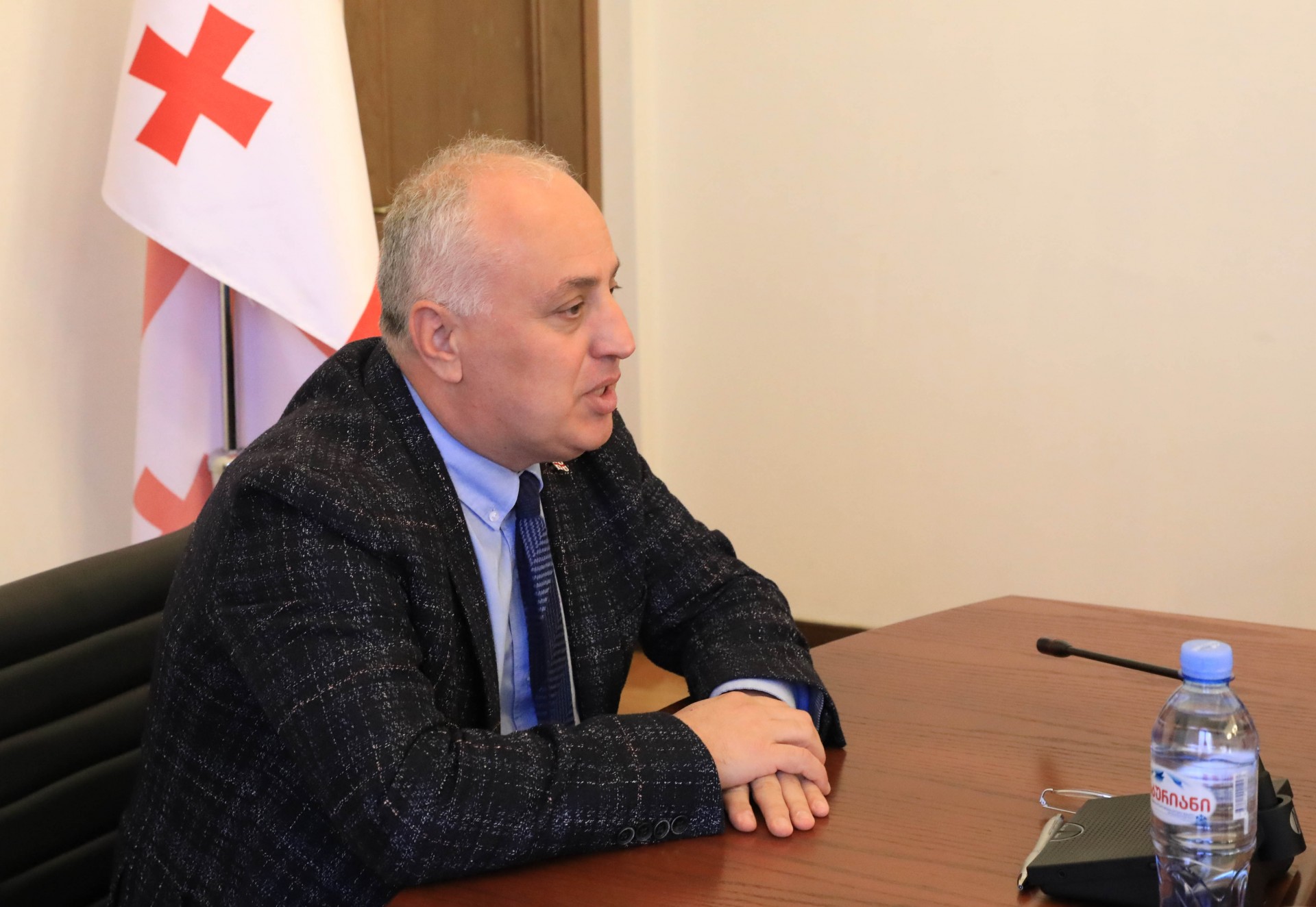 დარგობრივი კომიტეტების შეხვედრა საქართველოს პარლამენტში