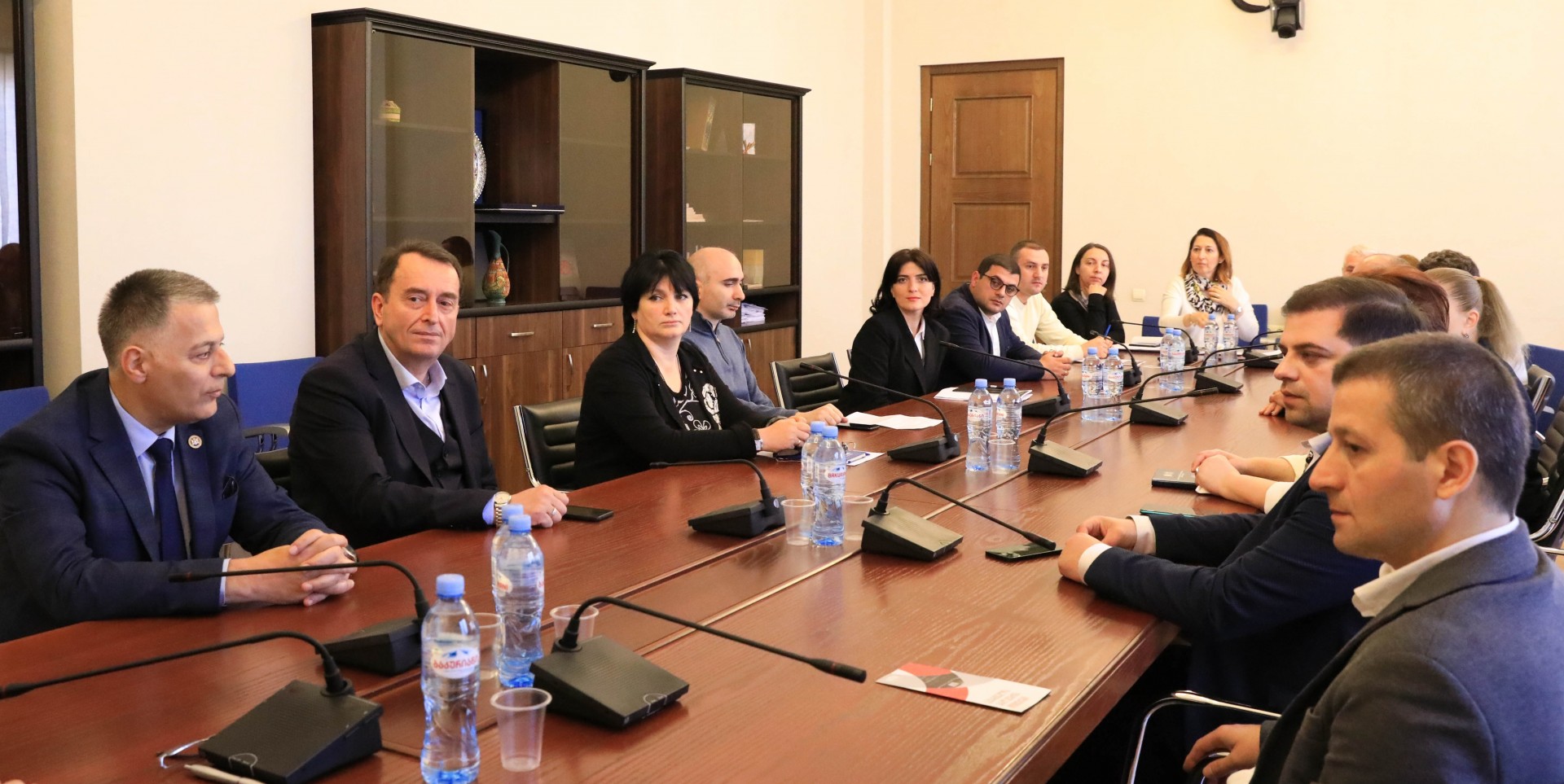 დარგობრივი კომიტეტების შეხვედრა საქართველოს პარლამენტში