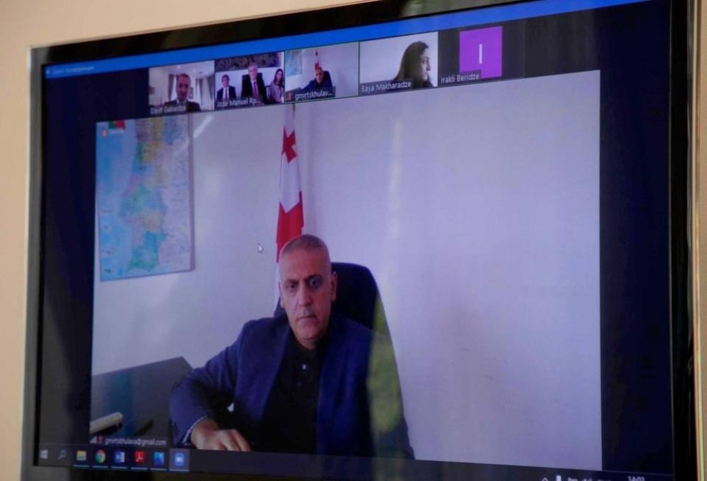 ონლაინ შეხვედრა მადეირას ავტონომიური რეგიონის საკანონმდებლო ასამბლეის პრეზიდენტთან