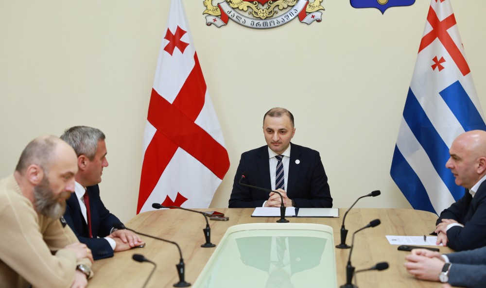    გაერთიანებულ სხდომაზე მინისტრს მოუსმინეს