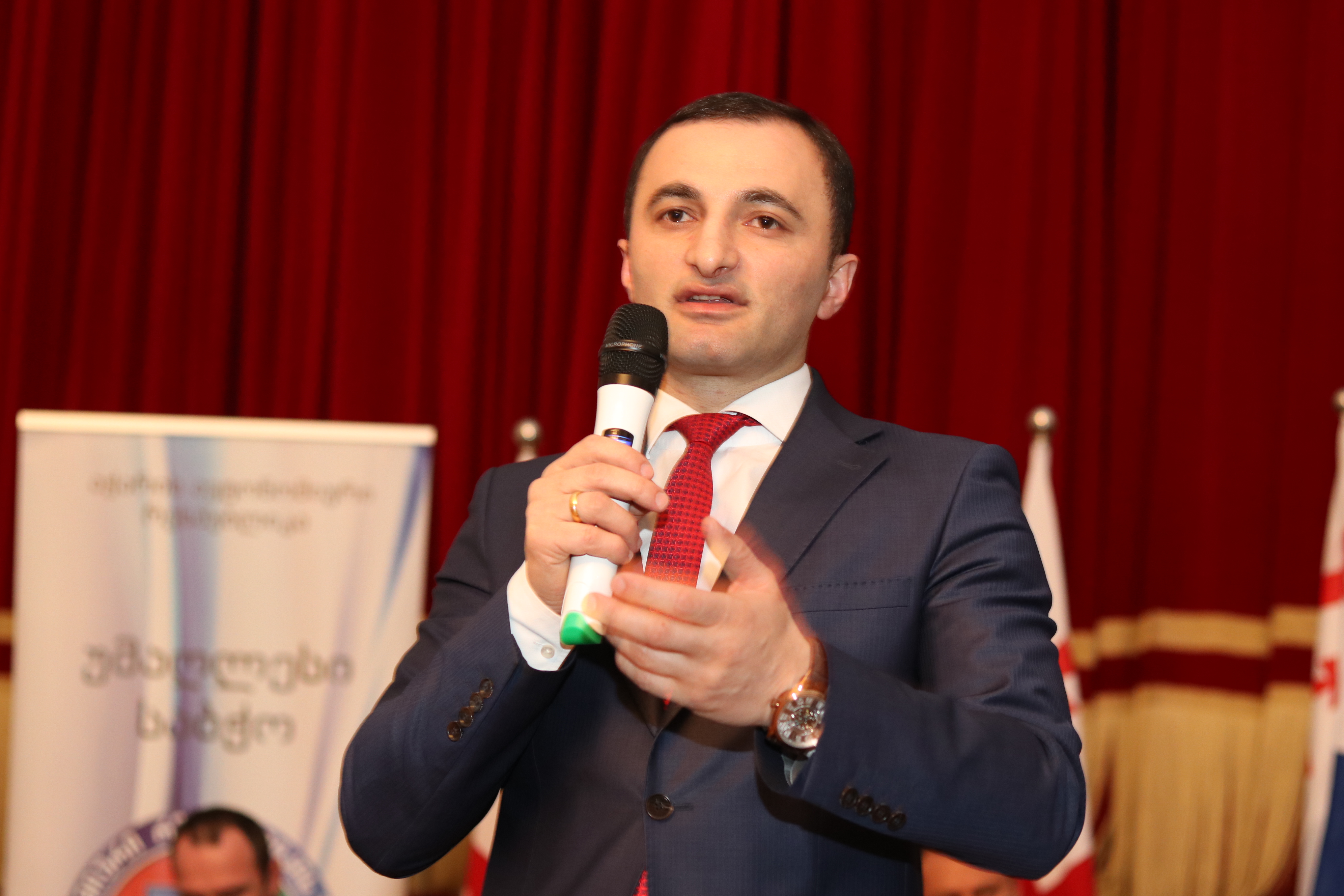 დავით გაბაიძე საკონსტიტუციო ცვლილებების შესახებ