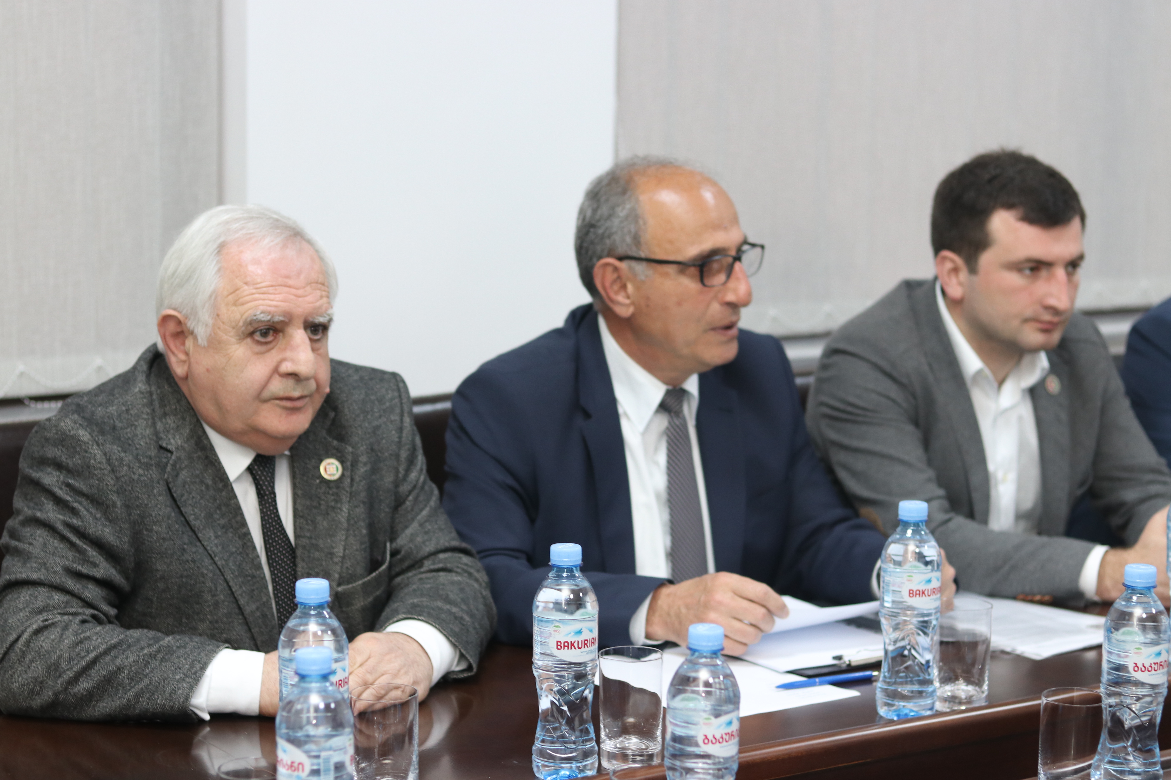 სამეცნიერო-საკონსულტაციო საბჭოს სხდომა