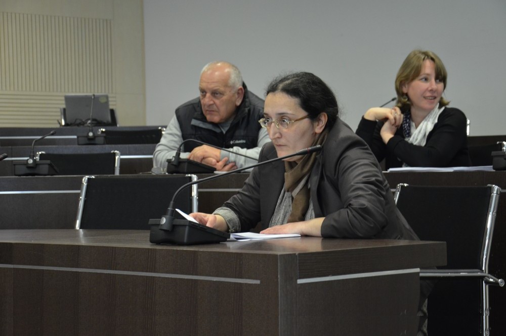 დავით გაბაიძემ და ნინო ჩხეტიამ საქართველოს ორგანული კანონის პროექტი და აჭარის კონსტიტუციური კანონი დღეს საქართველოს პარლამენტის ორ კომიტეტში &nbsp;წარადგინეს &nbsp;