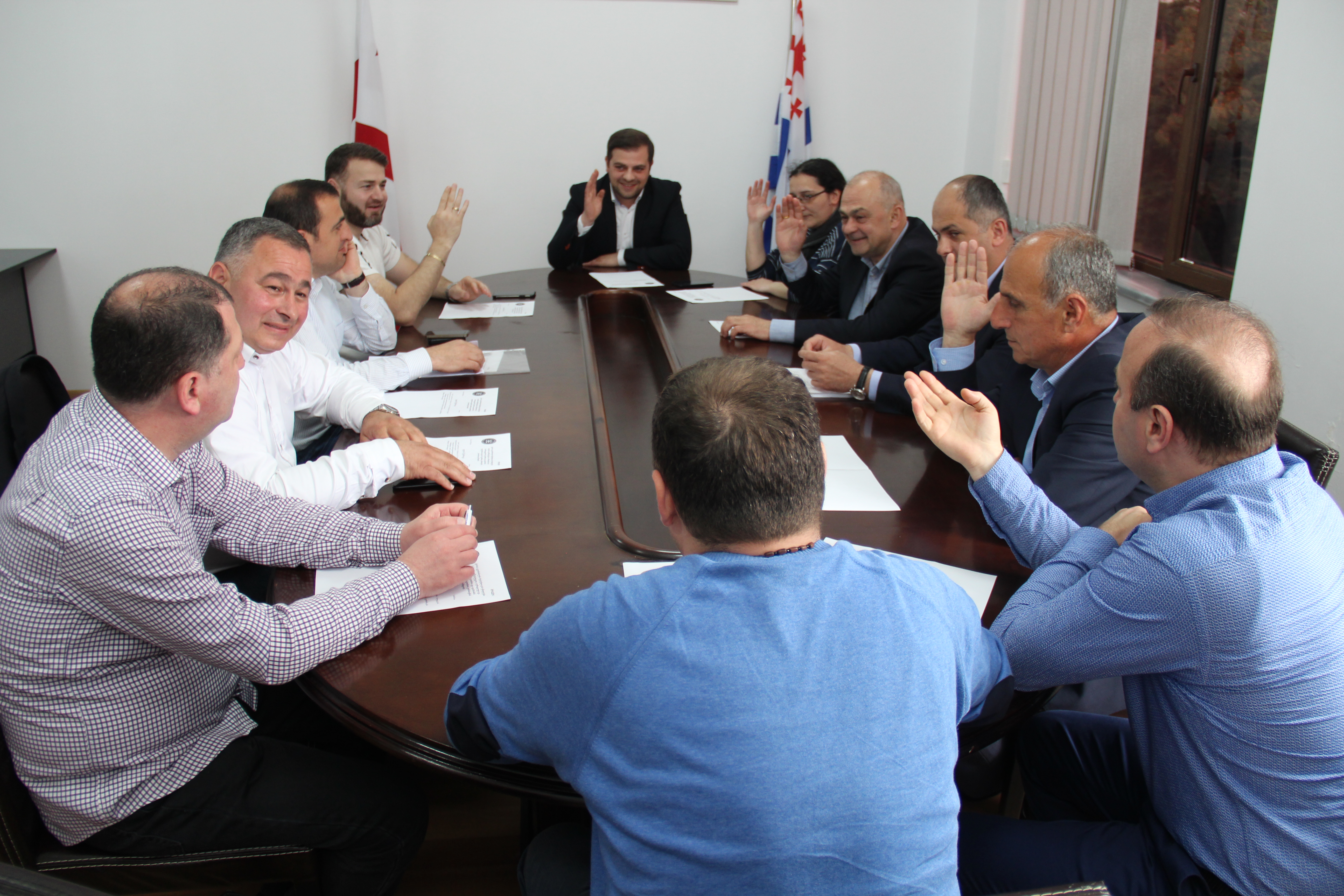 კომისიებმა ანგარიშის პლენარულ სხდომაზე გატანას მხარი დაუჭირეს