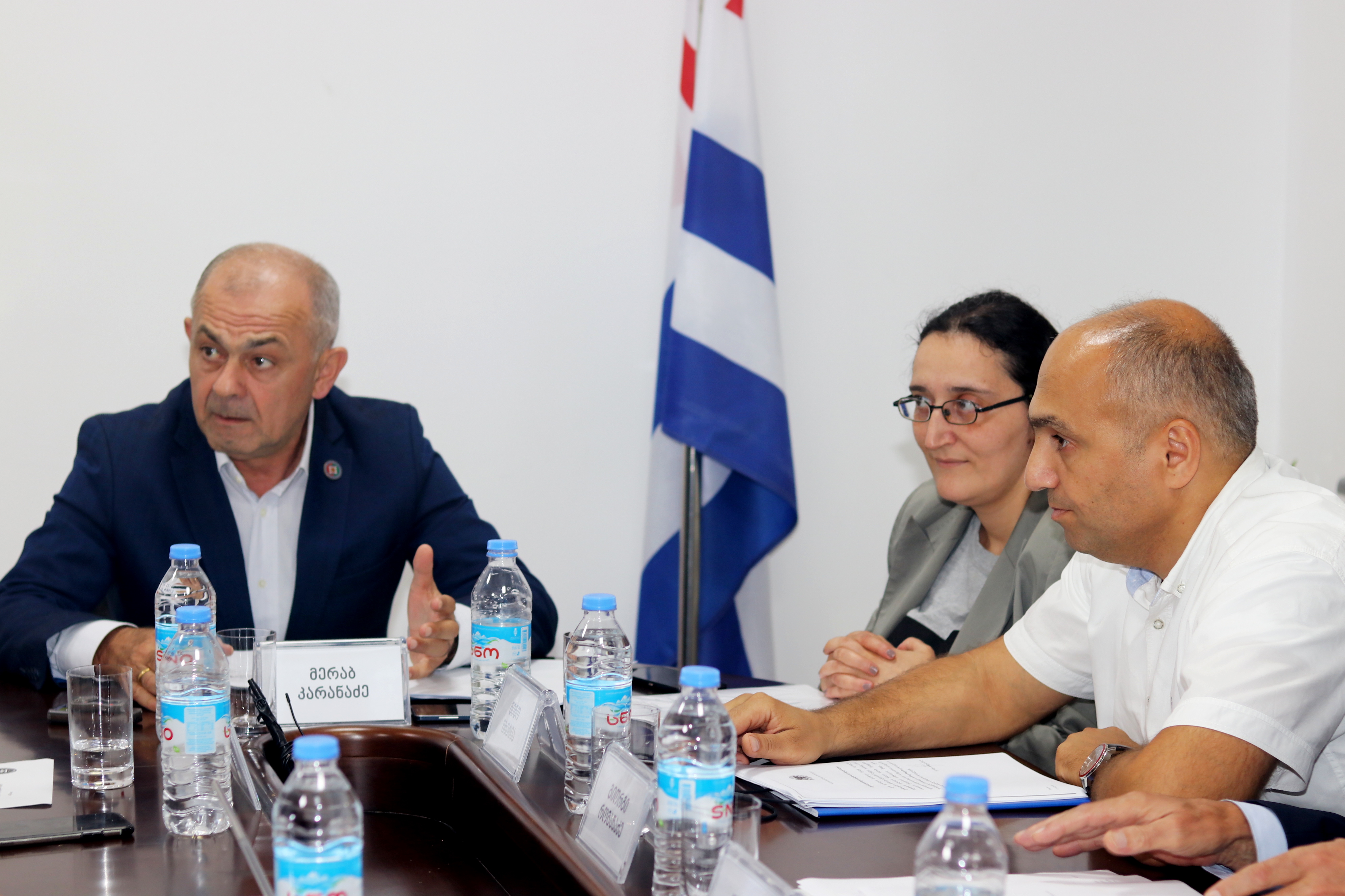 მთავრობის შემადგენლობას კომიტეტები განიხილავენ