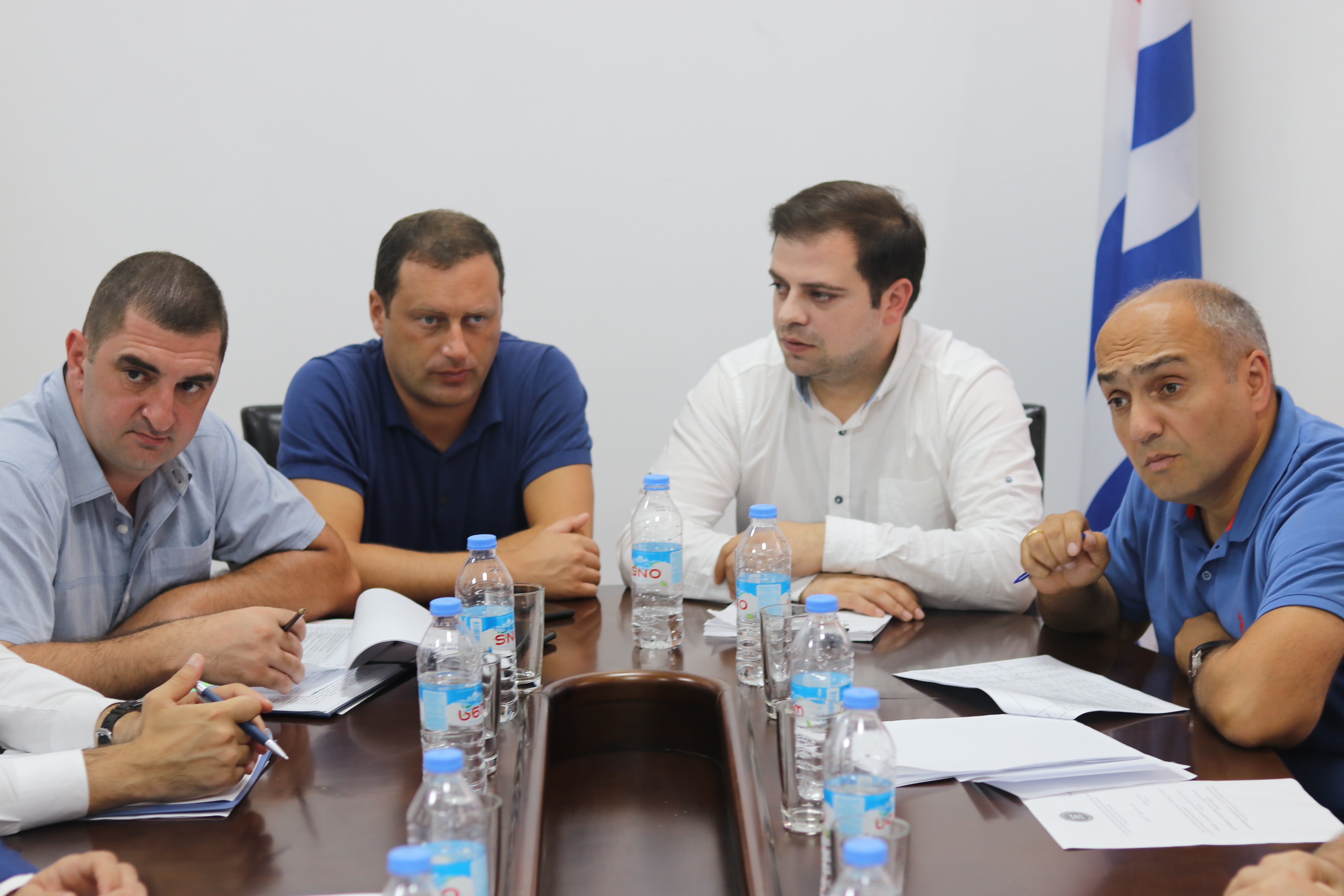 ორმა კომიტეტმა  ბიუჯეტის მიმოხილვა ცნობად მიიღო