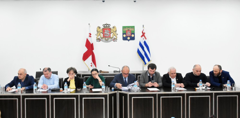 კომიტეტებში ორი მინისტრის ანგარიში მოისმინეს