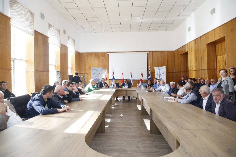 საკონსტიტუციო ცვლილებების საყოველთაო-სახალხო განხილვა შუახევში