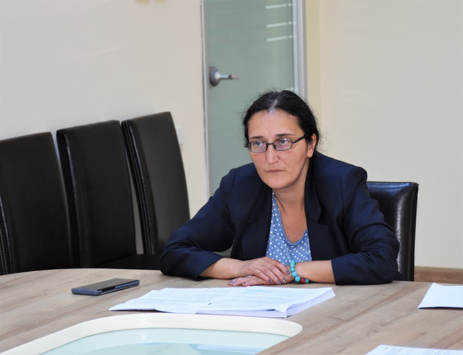 კანონის პროექტი პლენარული სხდომისთვის მომზადებულია