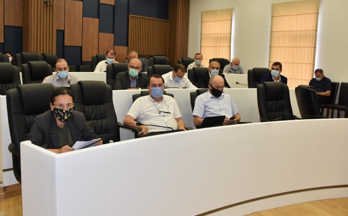 რიგგარეშე პლენარული სხდომა