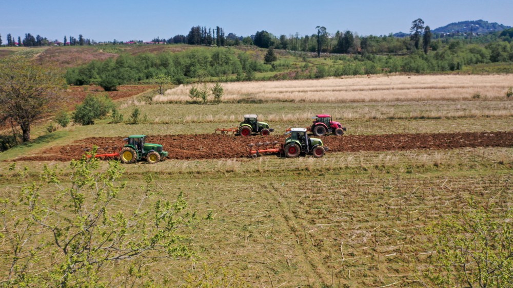 ფრიდონ ფუტკარაძე სოფელ ოჩხამურში ხვნა-თესვის პროცესს დაესწრო