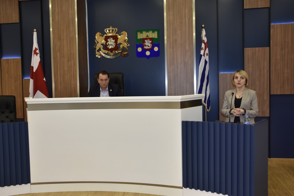 გაერთიანებულ სხდომაზე ორი მინისტრის ანგარიში მოისმინეს