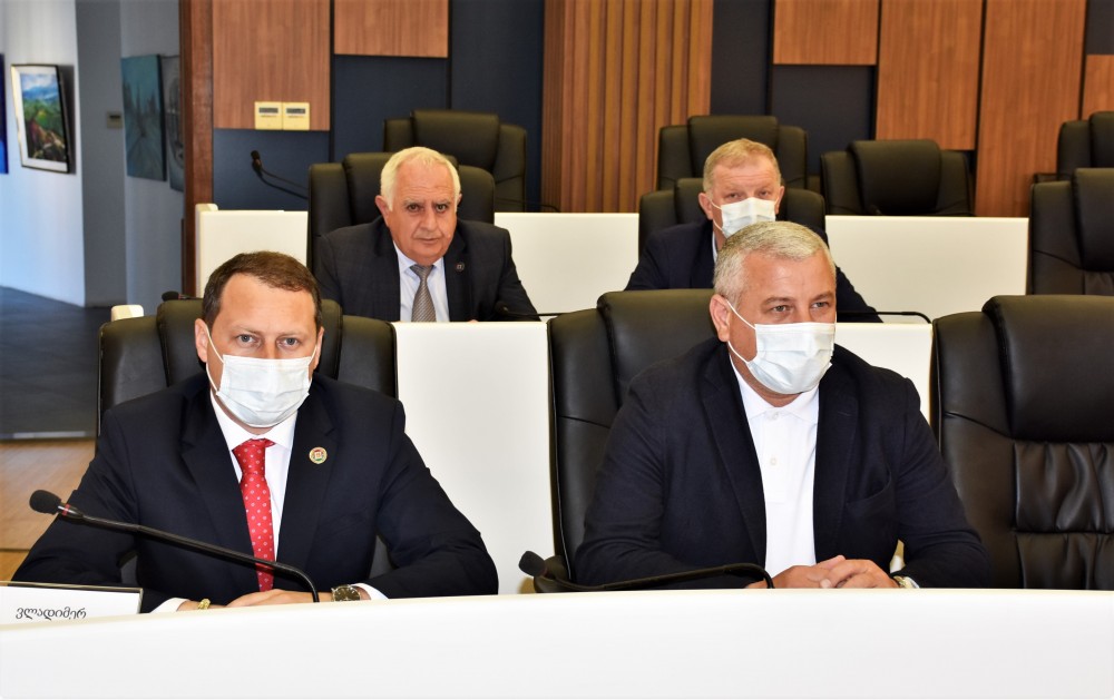 ორი კომიტეტის გაერთიანებული სხდომა