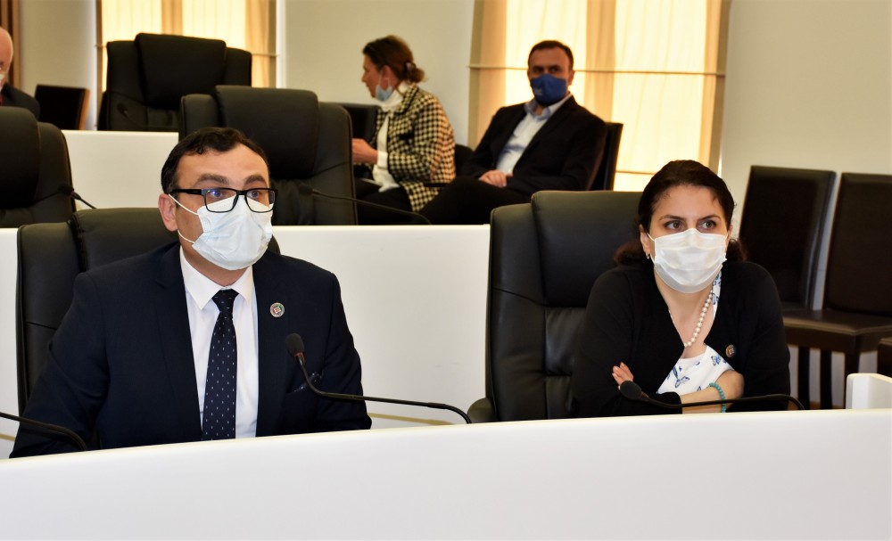 ორი კომიტეტის გაერთიანებული სხდომა