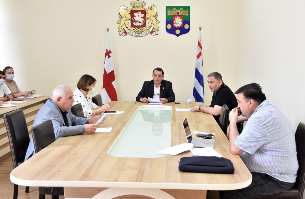 ჯანმრთელობის დაცვისა  და სოციალურ საკითხთა კომიტეტის თავმჯდომარის მოადგილედ ლევან ანთაძე აირჩიეს