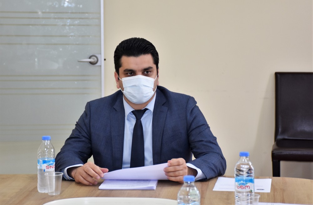 კომიტეტებმა მხარი დაუჭირეს საბიუჯეტო ცვლილების პლენარულ სხდომაზე გატანას