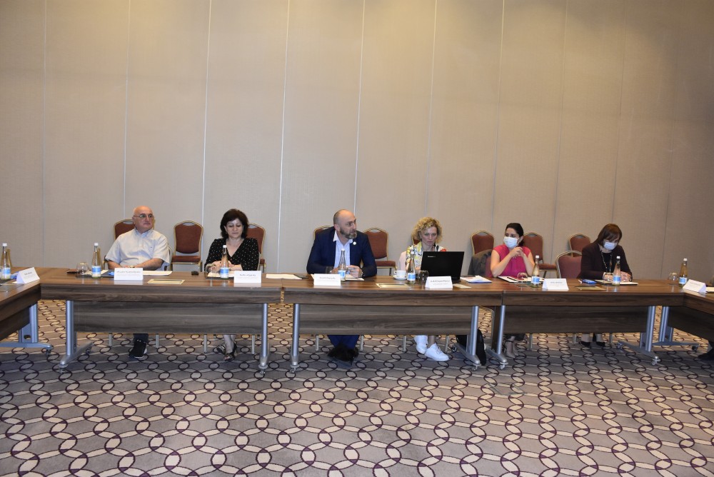 კომიტეტების სამოქმედო გეგმების განხილვა