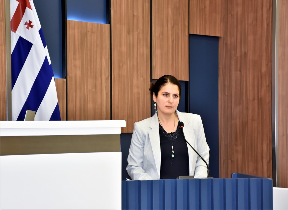 უმაღლესი საბჭოს მორიგი პლენარული სხდომა