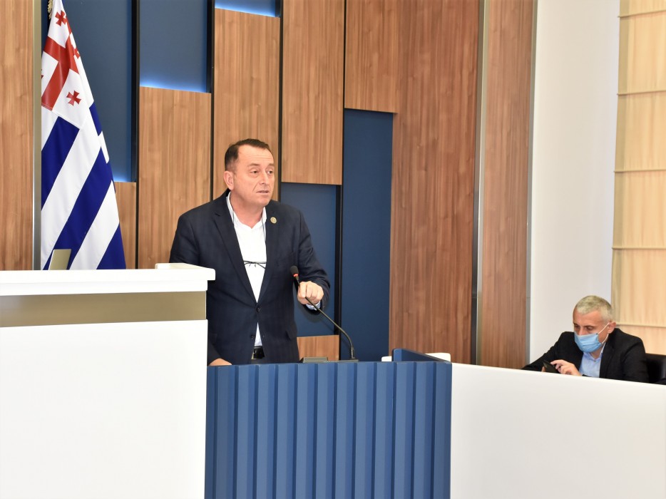 უმაღლესი საბჭოს მორიგი პლენარული სხდომა