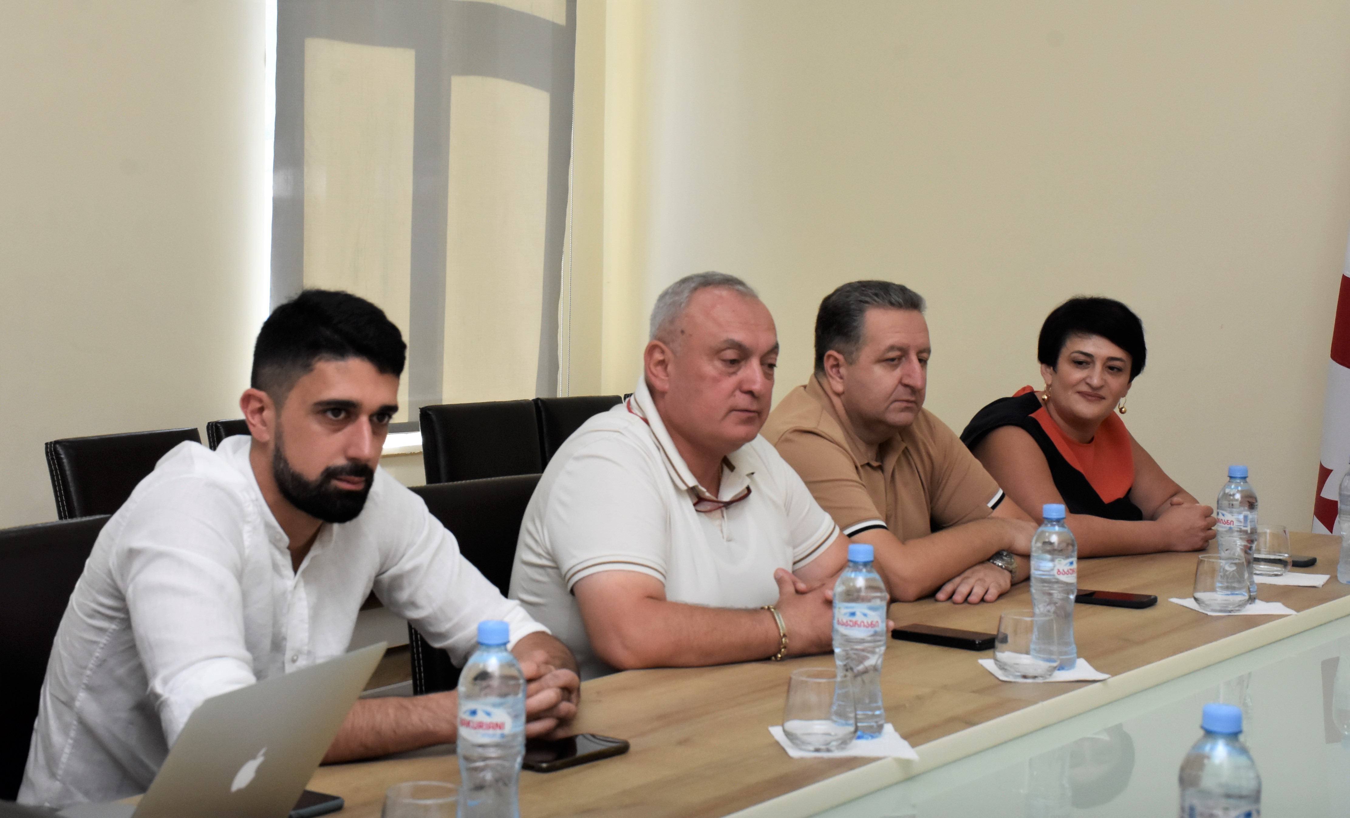 სამუშაო შეხვედრა მედიკოსებთან