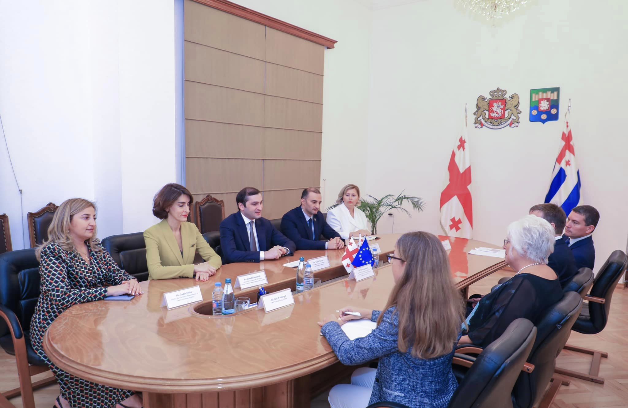 დავით გაბაიძე და თორნიკე რიჟვაძე ევროპარლამენტარებს შეხვდნენ