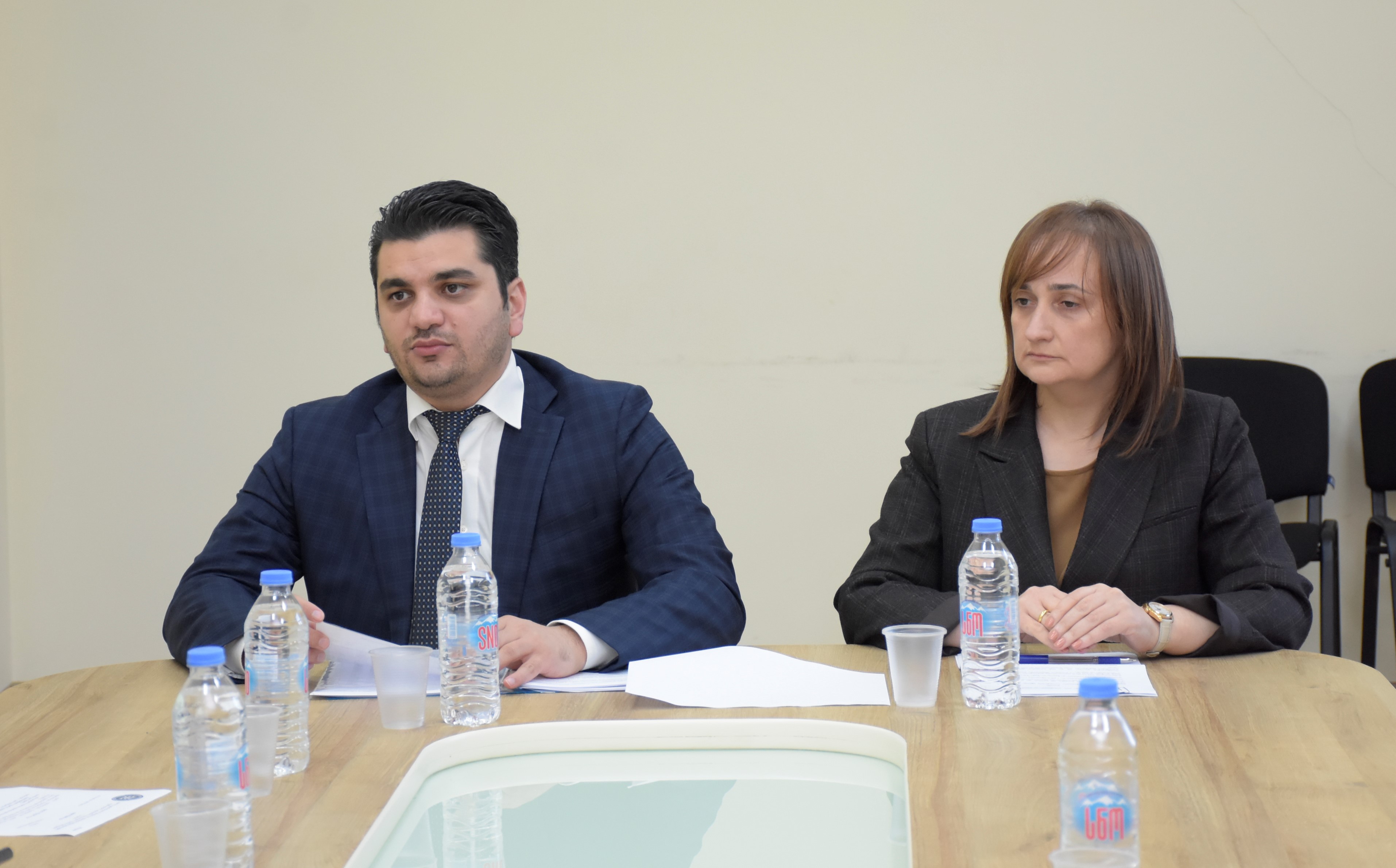 განათლების, მეცნიერების, კულტურისა და სპორტის საკითხთა კომიტეტის სხდომა