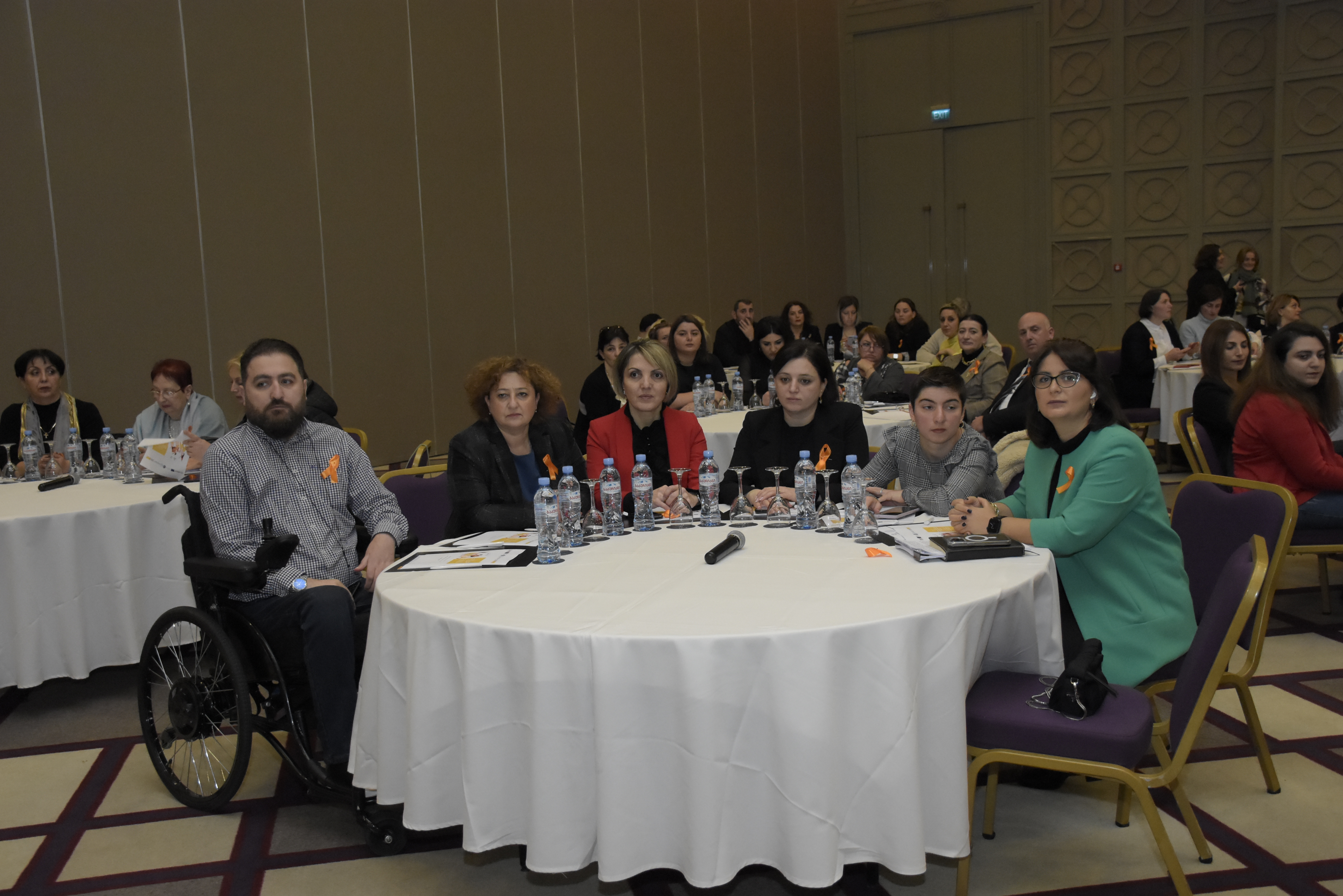 „შშმ ქალთა მონაწილეობა პოლიტიკურ და საარჩევნო პროცესებში“ - კონფერენცია ბათუმში