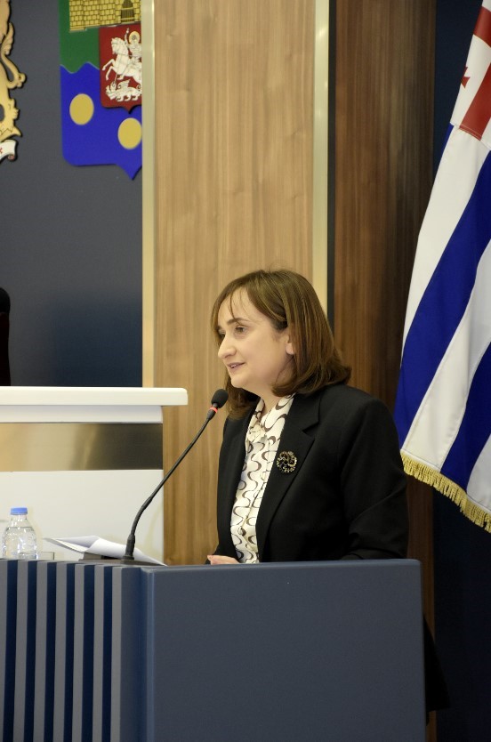 პლენარული სხდომა