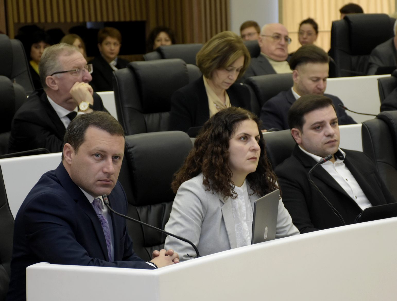 პლენარული სხდომა